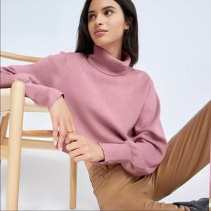 Wilfred Aritza Rebecca Wool Blend Turtleneck Cropped Sweater Size M